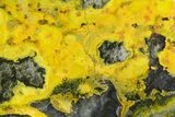 Very Vibrant, Free-Standing Polished Bumblebee Jasper #358618-1